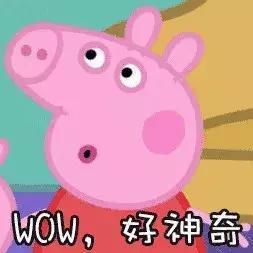 爆料小猪先生抖音视频,小猪先生爆笑视频幕后故事 第2张 爆料小猪先生抖音视频,小猪先生爆笑视频幕后故事 第2张